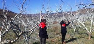 Çiftçilere bordo bulamacı uyarısı