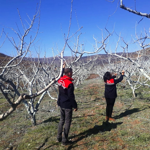 Çiftçilere bordo bulamacı uyarısı
