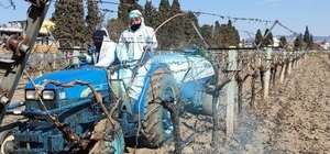 Erzincan Tarım Müdürlüğü'nden bordo bulamacı uyarısı: Uygulama zamanını kaç...