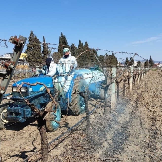 Erzincan Tarım Müdürlüğü'nden bordo bulamacı uyarısı: Uygulama zamanını kaç...