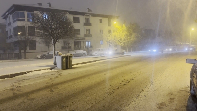 Erzincan'da kar yağışı