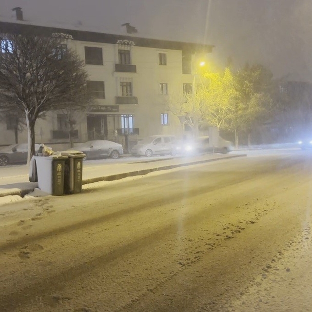 Erzincan'da kar yağışı