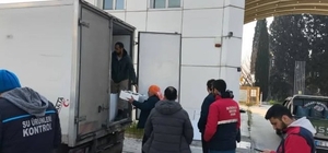 Aydın'da nakil belgesiz 290 kasa balığa el konuldu