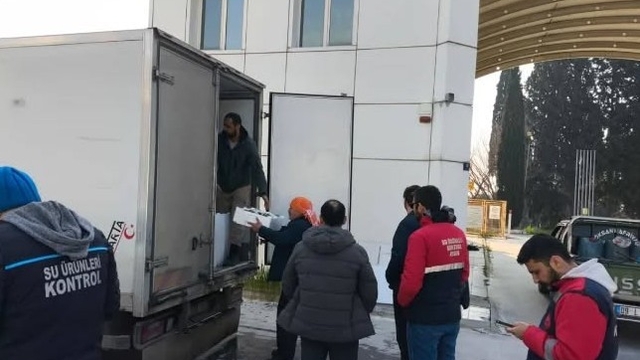 Aydın'da nakil belgesiz 290 kasa balığa el konuldu
