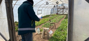 Tavşanlı'da KOBÜKS kapsamında sera kontrolleri