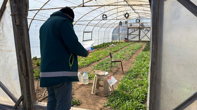 Tavşanlı'da KOBÜKS kapsamında sera kontrolleri