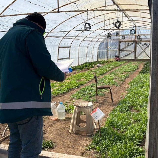 Tavşanlı'da KOBÜKS kapsamında sera kontrolleri