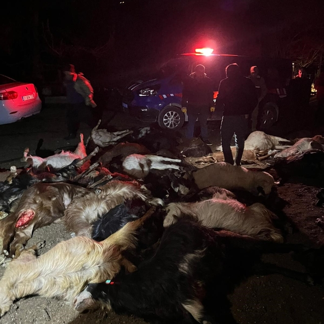 Akaryakıt karıştığı iddia edilen yağmur suyu birikintisinden su içen 43 küç...