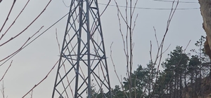 Vinç kiralayarak 1 milyon TL'lik kablo çaldılar