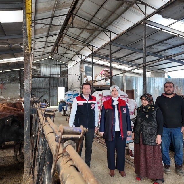 Düzce'de kadın yetiştiriciye etçi ırk düve desteği
Kırsalda bereket, hayvan...