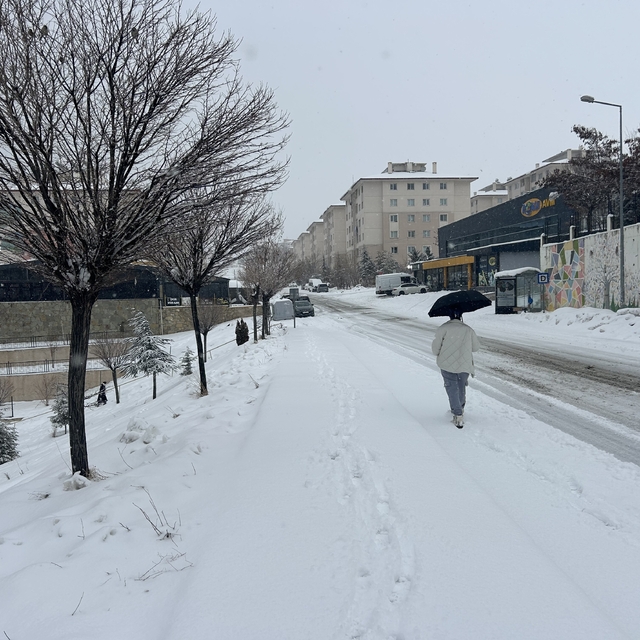 Van'da mart ayı kapıdan baktırdı: Kar yağışı ulaşımı durdurdu