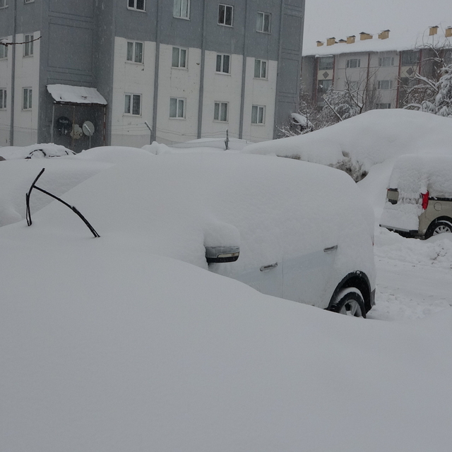 Bitlis'te kar nedeniyle 288 köy yolu ulaşıma kapandı