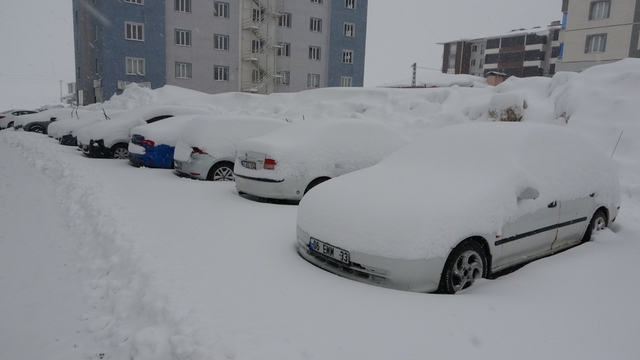 Bitlis'te mart karı 288 köy yolu ulaşıma kapattı