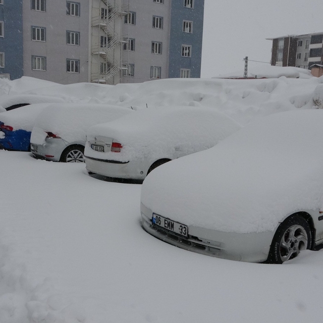 Bitlis'te mart karı 288 köy yolu ulaşıma kapattı