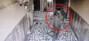 Hırsızlık yaparken kamerayı fark edince vazgeçti