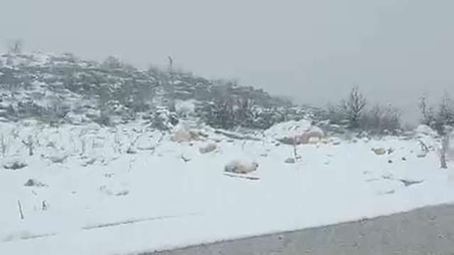 Diyarbakır'ın iki ilçesinde kar yağışı