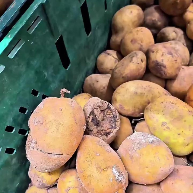 Market raflarında tarihi geçmiş tavuk ve içecek alarmı