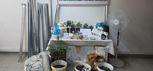 Evdeki 'kenevir serası'na jandarma baskını; 2 gözaltı