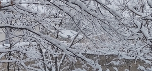 Erciş'te mart ayında kar yağışı