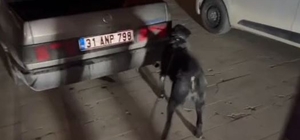 Hatay'da uyuşturucu operasyonu; 3 tutuklama