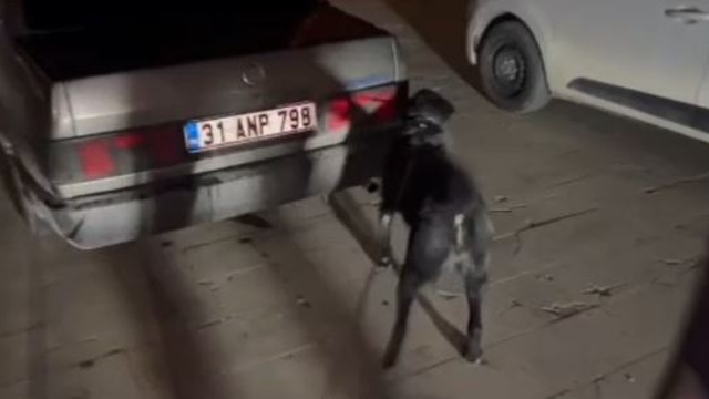 Hatay'da uyuşturucu operasyonu; 3 tutuklama