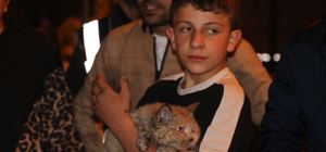 Yangında dairede mahsur kalan kedi 'Duman'ı itfaiye kurtardı