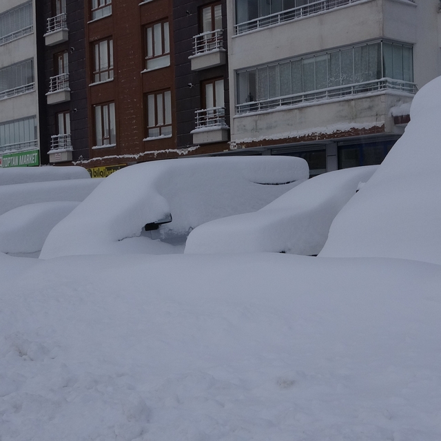 Bitlis mart ayında kara gömüldü