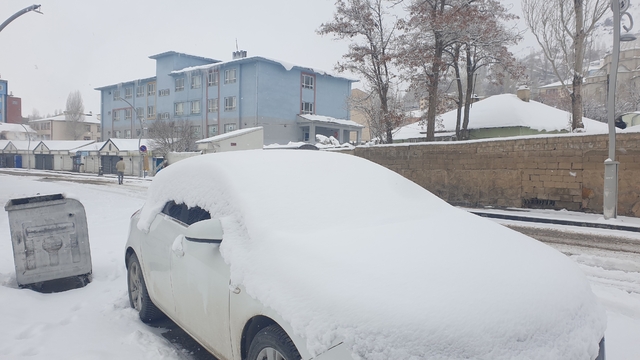 Başkale'de kar yağışı