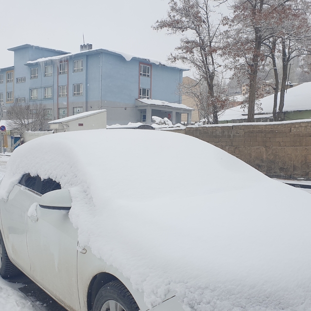 Başkale'de kar yağışı