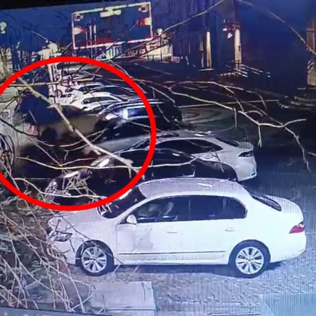 Bingöl'de otomobillerin çarpıştığı kaza kamerada