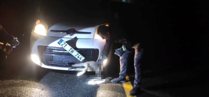 Tilki, kendisine çarpan aracın tamponuna sıkıştı