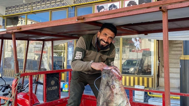 Çüngüş'te 100 kiloluk turna balığı yakalandı