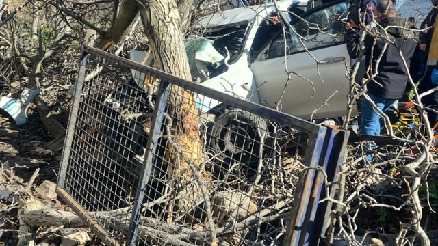 Kontrolden çıkan otomobil ağaçlara ok gibi saplandı: 2 ölü, 1 ağır yaralı