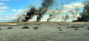 Sultan Sazlığı Milli Parkı'nda yangın