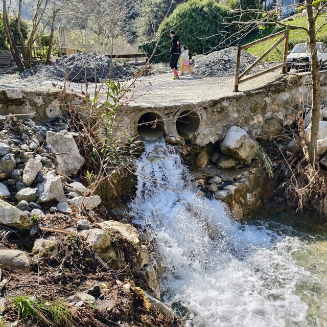 Mesir Tabiat Parkı'na ziyaretçi akını
Manisalılar doğayla buluşmak için Mes...