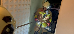 Camide görülen yılan yakalandı