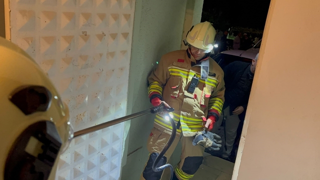 Camide görülen yılan yakalandı