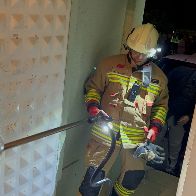 Camide görülen yılan yakalandı