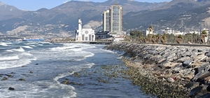 İskenderun Körfezi'nde denizde çekilme yaşandı