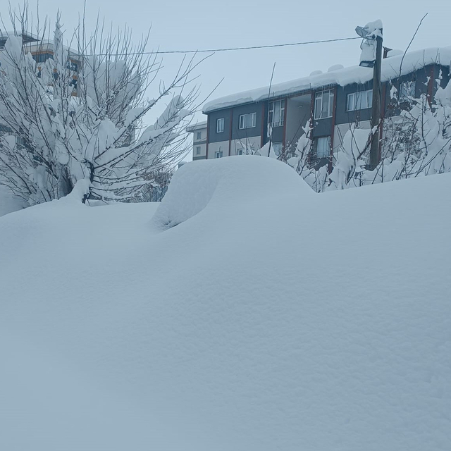 Bitlis'te kar durdu, temizlik çalışması başladı