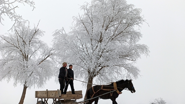 Türkiye'de en düşük sıcaklık eksi 20 dereceyle Bayburt'ta ölçüldü