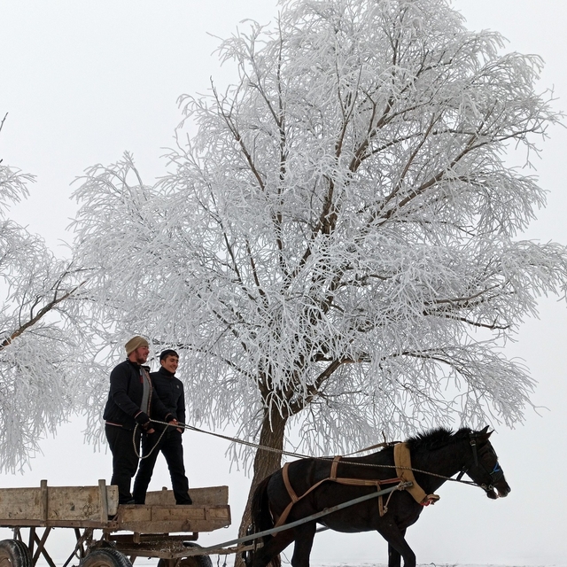 Türkiye'de en düşük sıcaklık eksi 20 dereceyle Bayburt'ta ölçüldü
