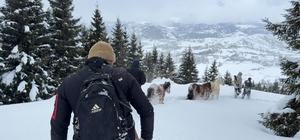 2 bin 100 rakımlı kışlada aylarca kar altında mahsur kalan atları köyün gen...