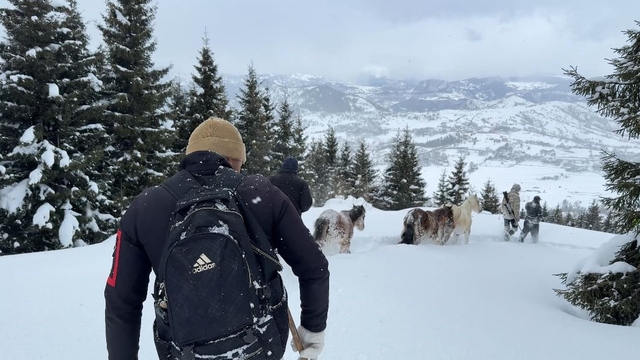 2 bin 100 rakımlı kışlada aylarca kar altında mahsur kalan atları köyün gençleri kurtardı