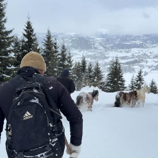 2 bin 100 rakımlı kışlada aylarca kar altında mahsur kalan atları köyün gen...