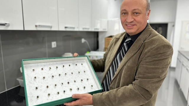 Böcekler cinayetleri aydınlatıyor: Ölüm zamanı ve olay yeri entomolojiyle belirlenebiliyor
2003'teki korkunç cinayet böceklerle çözüldü