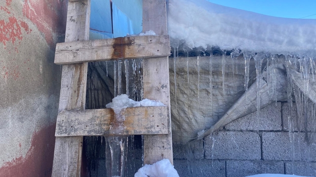 Patnos'ta kar yağışının ardından don etkili oldu