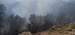 Samandağ'da ormanlık alanda çıkan yangın kısa sürede kontrol altına alındı