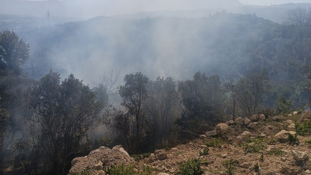 Samandağ'da ormanlık alanda çıkan yangın kısa sürede kontrol altına alındı