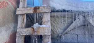 Patnos'ta kar yağışının ardından don etkili oldu